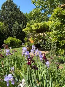 Le Mas Carradou , Mas de Prestige en campagne