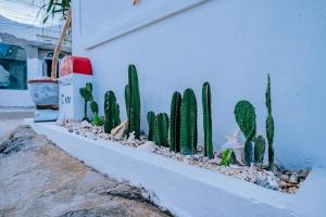 Phu Quy Vibes Villa - sát biển cạnh bãi tắm