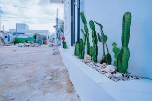 Phu Quy Vibes Villa - sát biển cạnh bãi tắm