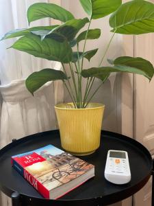 Next Stop Vatican Guest House