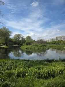 Apartament Sky Point Jelitkowo