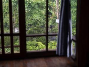 Give Garden Eco ສວນສາຍທານ