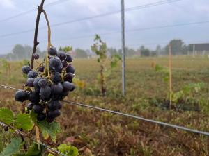 Dla Ciebie w Kuraszewie