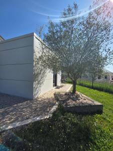 Maisons d'hotes Au Bord de Loire : Chambre Double avec Salle de Bains Privative
