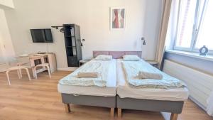 Flat in Zizkov -403-