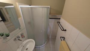 Flat in Zizkov -403-