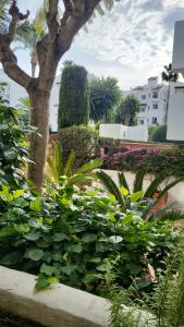 Beachside Apartment Costalita Sol - Huge Terrace & Pool