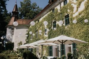Schloss Ernegg