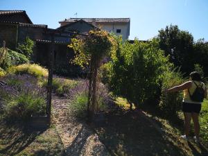 Maisons d'hotes Les Ombelles : photos des chambres