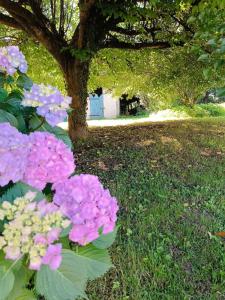Maisons de vacances Le Petit Gite : photos des chambres