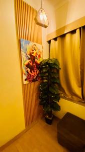 Beautiful entire studio