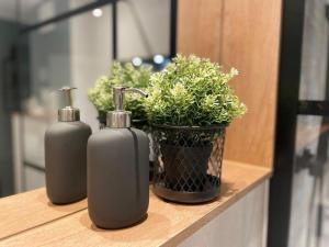 Apartment-Uptown-im-Szeneviertel-der-Dresdner-Neustadt