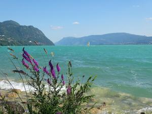 Appartements Cosy Apt Clim 3 etoiles prox lac, riviere Aix Chambery : photos des chambres