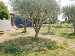 Villas Family vacation home : photos des chambres