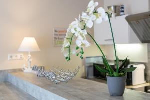 Ferienwohnung Dünenträumchen