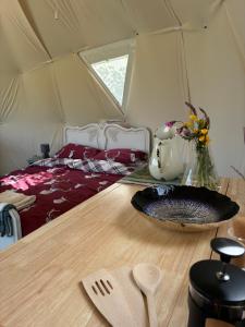 Dyers Meadows Camping