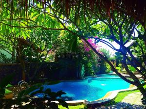 Life in Amed Beach Hotel