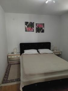 Apartments Ivana Diklo