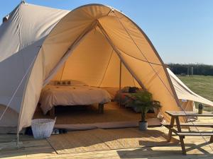 Springfield glamping