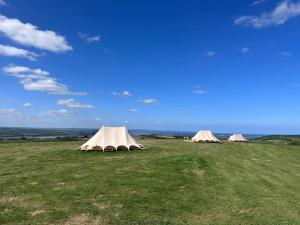 Springfield glamping