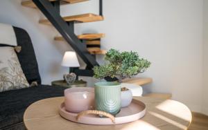 Escapade Tropicale fibre, terrasse,parking,clim