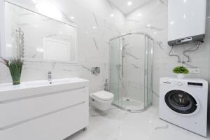 Видова на Майдані, Бориса Гринченко 2