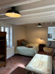 Maisons de vacances Les Maraichades : photos des chambres