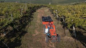 Bio Agriturismo Falezze