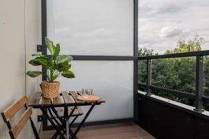 Mint Premium Apartment With AC City Center