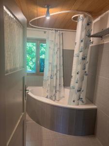 Romantic Gem at Black Forest - Cozy Historic Apartment - 30min to EuropaPark