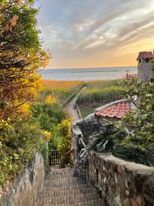 Restart Accommodations Nerone