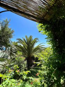 Apartments in romantic, private Beachvilla