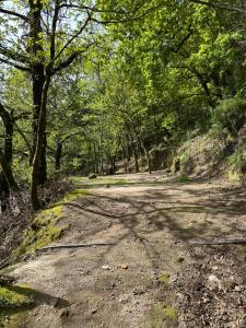 Vidoeiro Gerês camping