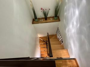 SeaNest Apartament Mamaia Nord