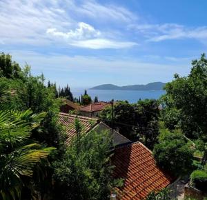 Blue Horizon Birds Eye View