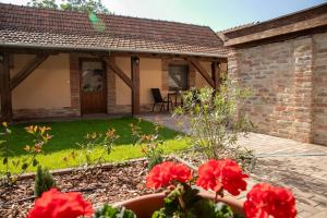 Vadvirág Apartman Gyula