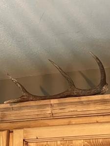 Studio cosy et sa terrasse