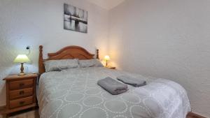 Calle Ingeniero Canales N 14, 2 Izq 03013