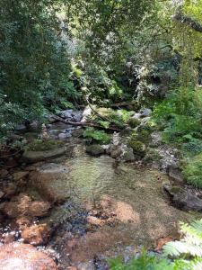 Gerês Vidoeiro Camping