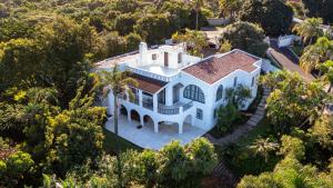 7 Dora Terrace Apartments