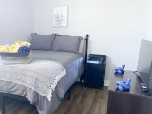 Pristine 3bdr 2ba Condo UChicago