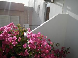 Maria Studios and Apartments Rhodes Greece