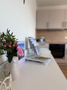 Urlaub an der Nordsee - Exklusive Penthouse-Ferienwohnung Deichliebe in Tossens