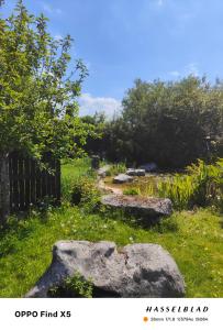 Bohemian Bell Tent in Kinvara County Galway