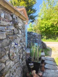 Bohemian Bell Tent in Kinvara County Galway
