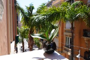 Appartements Hypercentre - 5mn Monaco - Cosy 3 pieces - DN : photos des chambres