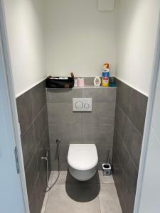 Annecy Nailas apartement