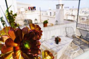 Dimora Dolce Vista - RELAX con VISTA ad OSTUNI