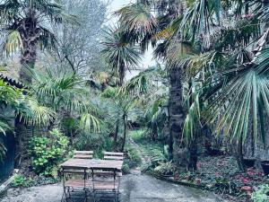 Villas Tropical House : photos des chambres