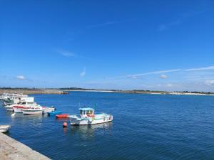 Holiday home 10 pers , panoramic sea view, Cléder